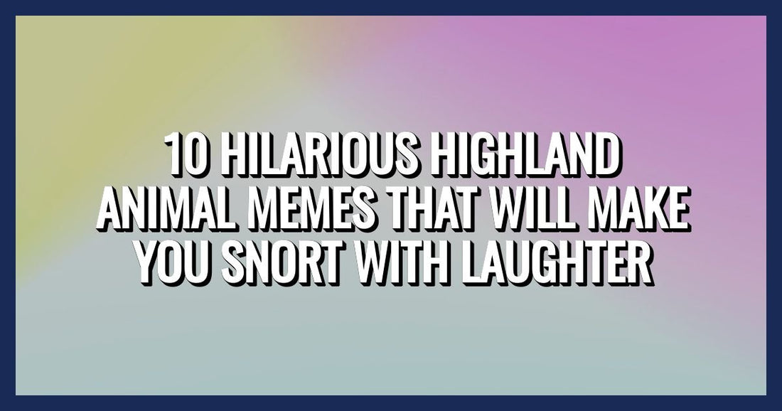 10 Hilarious Highland Animal Memes That Will Make You Snort with Laughter - Cow Slippers