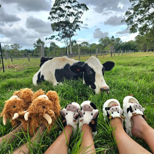 The Amazing Benefits of Wearing Cow Slippers: Comfort, Style, and More! - Cow Slippers