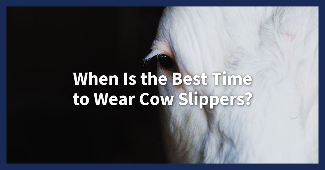 When Is the Best Time to Wear Cow Slippers? - Cow Slippers