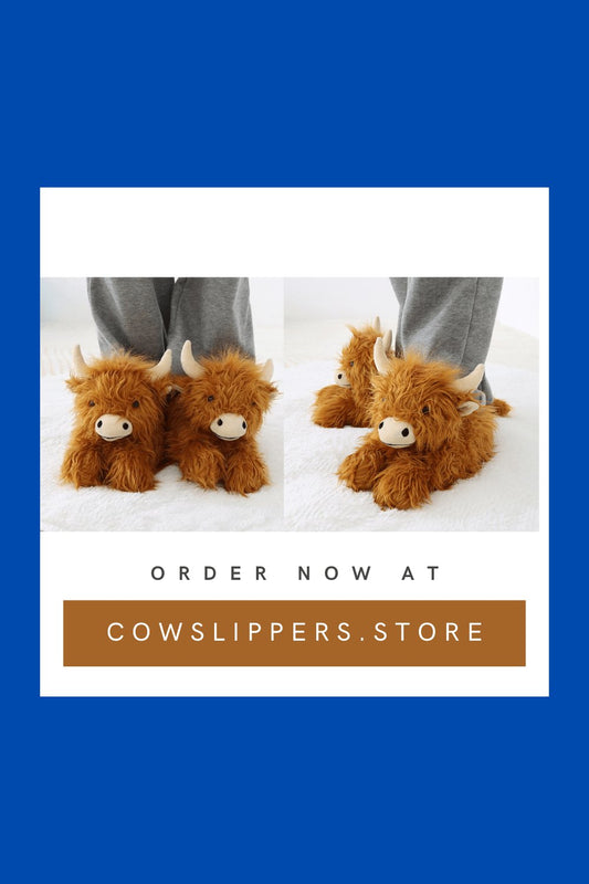 Why Are Highland Cow Slippers So Popular? - Cow Slippers